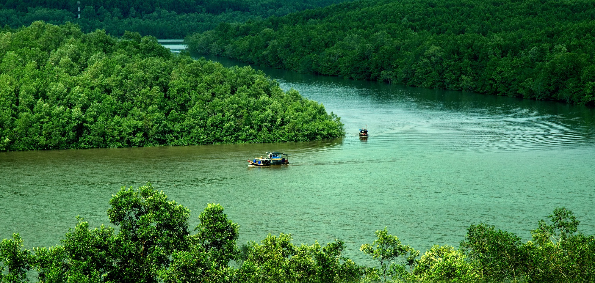 Can Gio Mangrove Forest Full-day