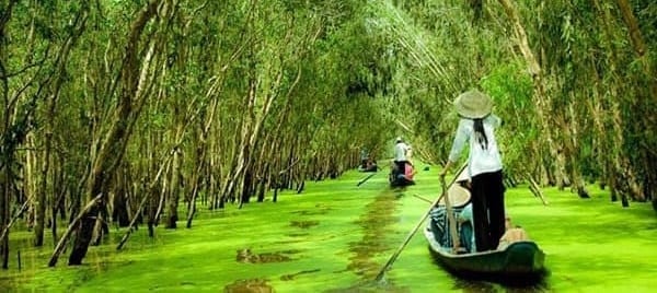 Tour Phong Nam – Ben Tre Full-day (Private Tour)